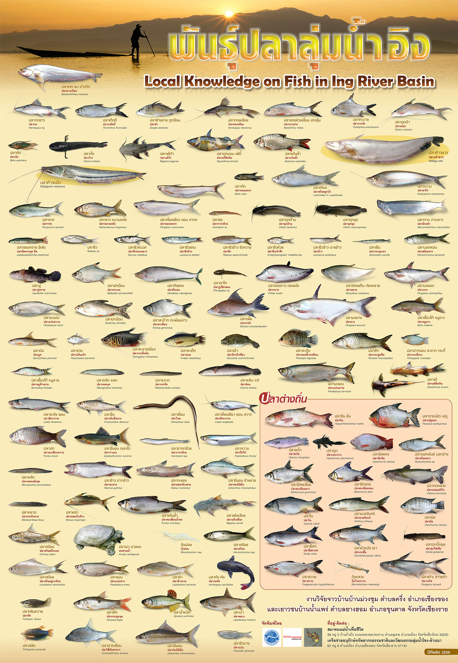 poster ing river fish